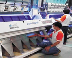 捷泰色选机售后在泰国客户加工厂调试机器